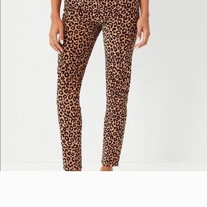 Ann Taylor Leopard Print Corduroy Skinny Pants Highest Rise NWT 2 Petite